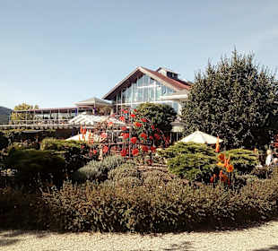 Wandern Waldmünchen