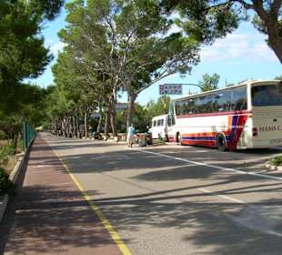 Zufahtstraße zu den Hams Höhlen