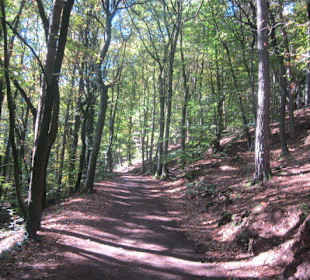Auf dem Weg zur Madenburg