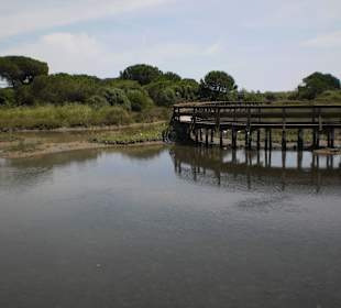 Botanischer Garten Porto Caleri