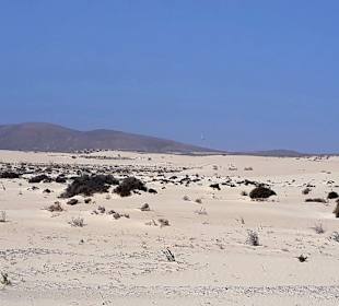 Dünen von Corralejo