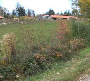 Geschichtslehrpfad Streichen