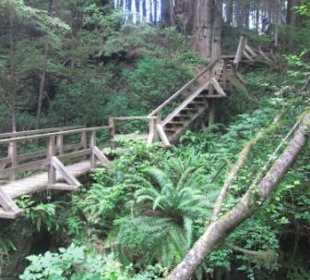 Auf dem Schooner Trail