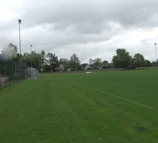 Bitte beschreiben Sie, was auf Ihren Bildern zu se