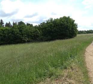 Premiumwanderweg "hochgehackert"