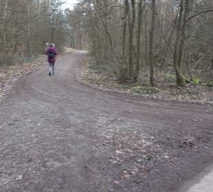 Unterjesinger Wengertwegle