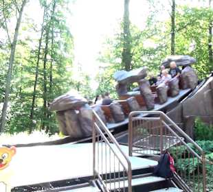 Steinschleuder
