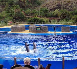 Ruhiger und erholsamer Familienurlaub