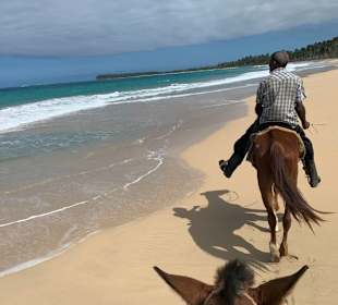 Genialer Ritt am Wasser