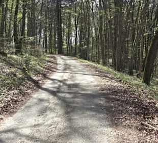 Waldlehrpfad an der Lauter