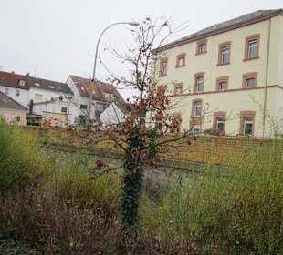 Altstadt Germersheim
