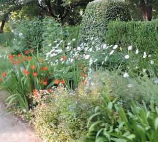 Real Jardín Botánico de Madrid