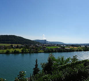 Blick auf den Rhein