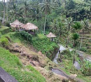 Blick auf die Terrassen