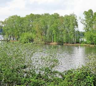 Impressionen von der Thülsfelder Talsperre