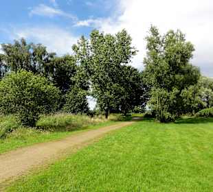 Spaziergang um den Waller Feldmarksee