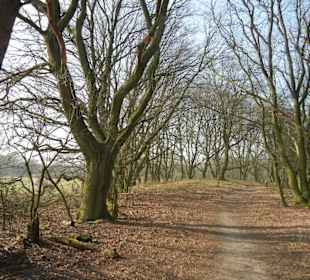 Wunderschöne Boberger Niederung