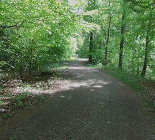 Rundwanderweg - Pauls Ruh