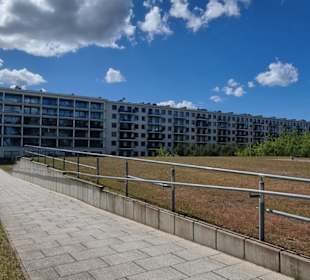 Neue große Fenster.