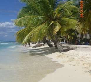 Insel Saona