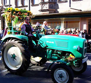 Oldtimerfreunde Zenngrund e.V. 15 Traktoren