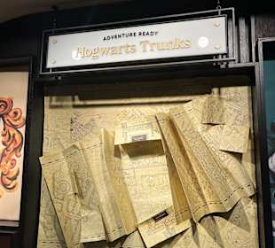 Harry Potter New York Store