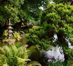 SF Japanese Tea Garden