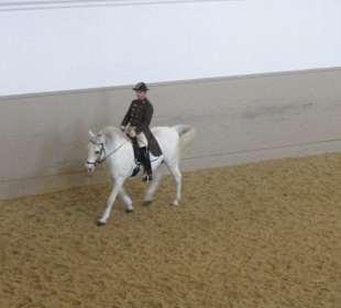 Spanishe Hofreitschule