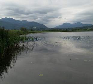 Chiemsee