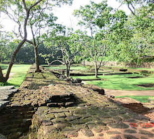 Im weitläufigen Gelände