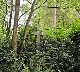 Кладбище Ольсдорф, Гамбург, 16 сентября 2013 года