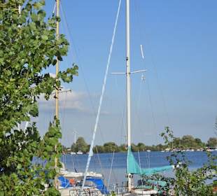 Impressionen aus der Marina Wieltsee