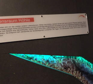 HöhlenSchauLand Hürben