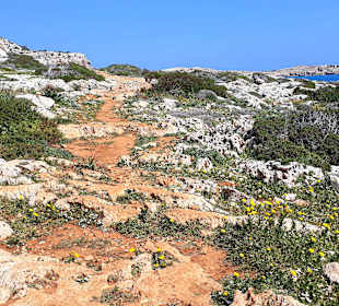 Nationalpark Kap Greco