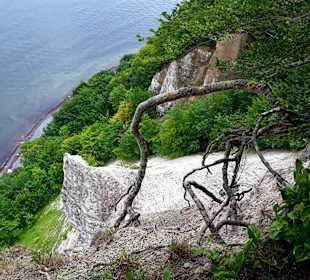 Kreidefelsen