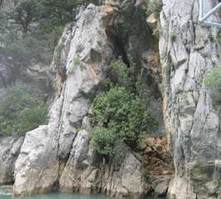 Ausflug Green Canyon