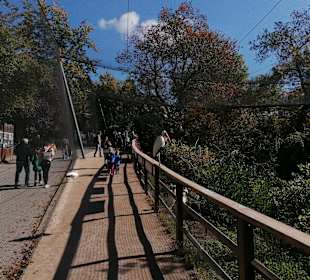 Zoologischer Garten Prag