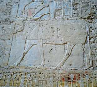 Wizerunek boginni Hathor w Swiątyni Hatszepsut