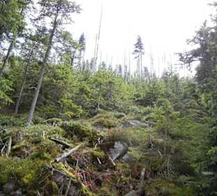 Karkonoski Park Narodowy