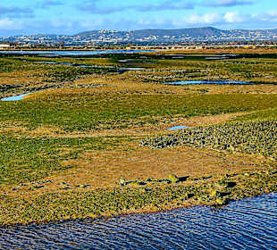 Parque Natural da Ria Formosa