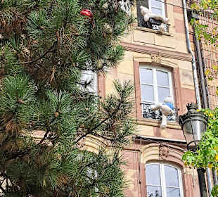 Stadtrundgang Straßburg