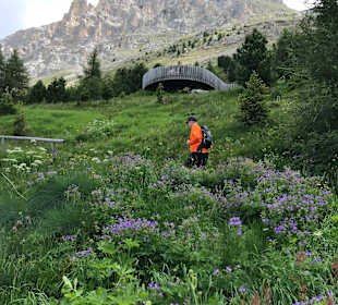 Wandern Nova Ponente / Deutschnofen