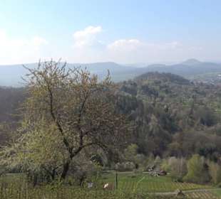 Wanderung Florianrunde