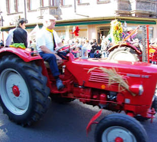 Oldtimerfreunde Zenngrund e.V. 15 Traktoren