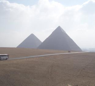 Die Pyramiden von Gizeh