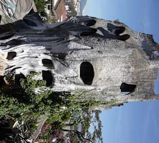 Lassen sie ihrer Fantasie freien Lauf!