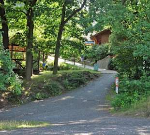 Der Weg zur Sommerrodelbahn