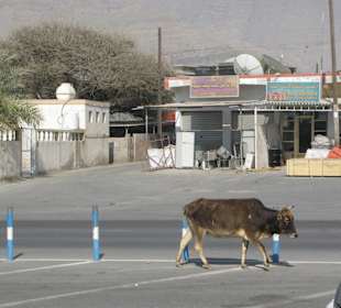 Auf den Straßen vom Oman