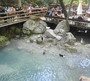 Gizli Cennet(Hidden Paradise)