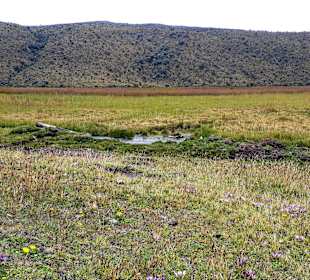 Cotopaxi Nationalpark